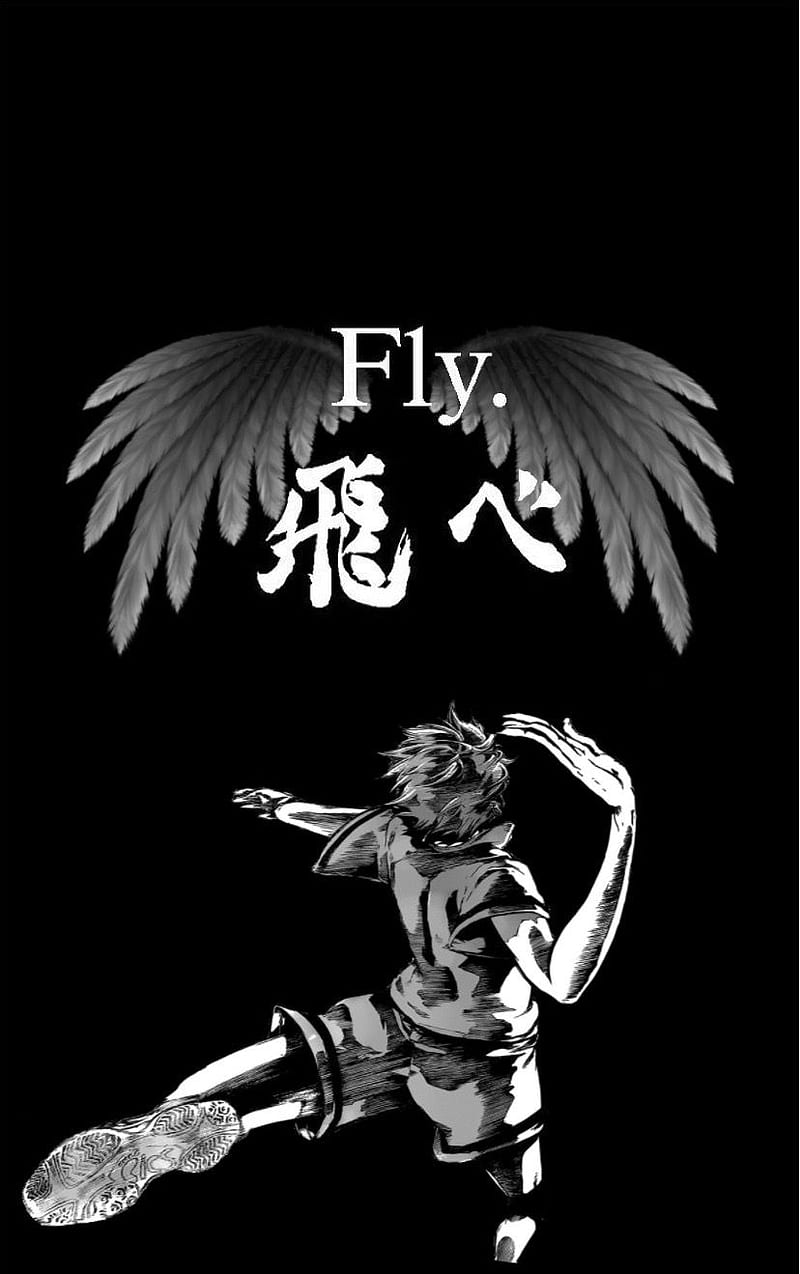 Fly High, anime, haikyuu, manga, volleyball, HD wallpaper