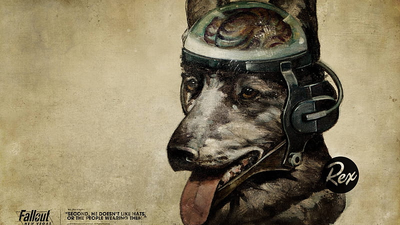 540x960px, free download | Fallout, quote, dog 1440P Resolution 