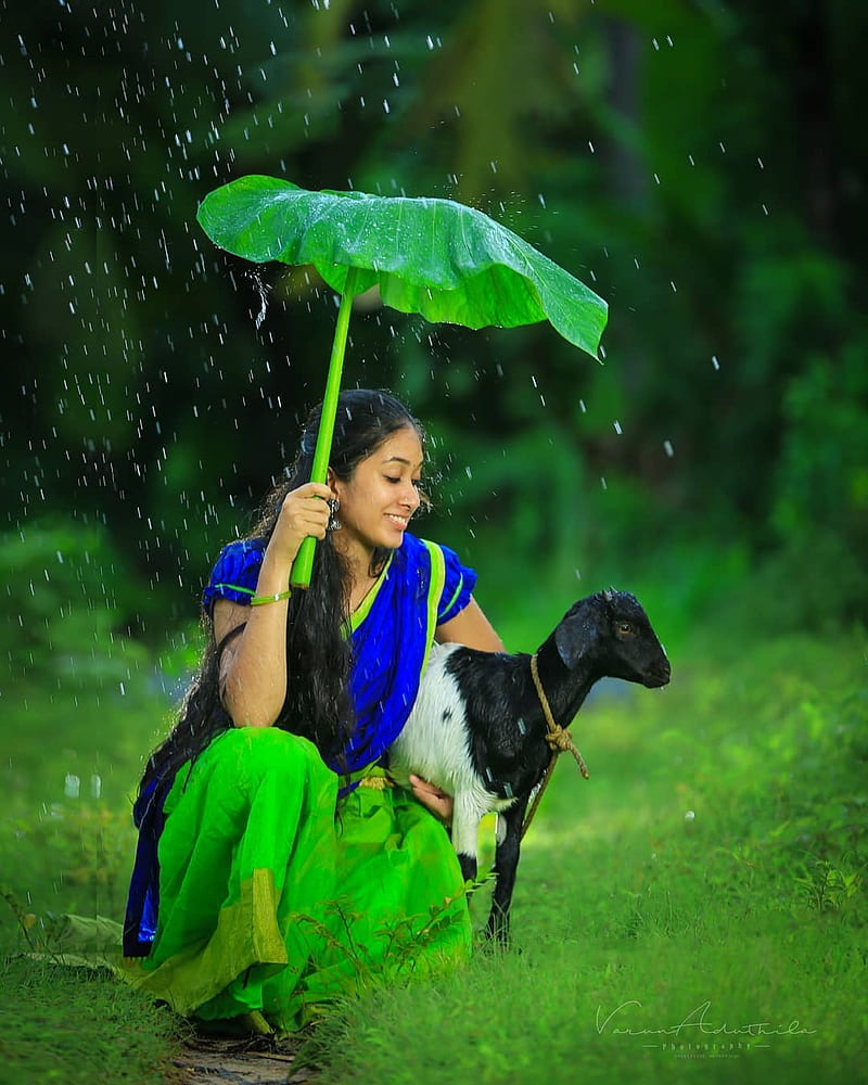Kerala, animals, greenery, rain, HD phone wallpaper
