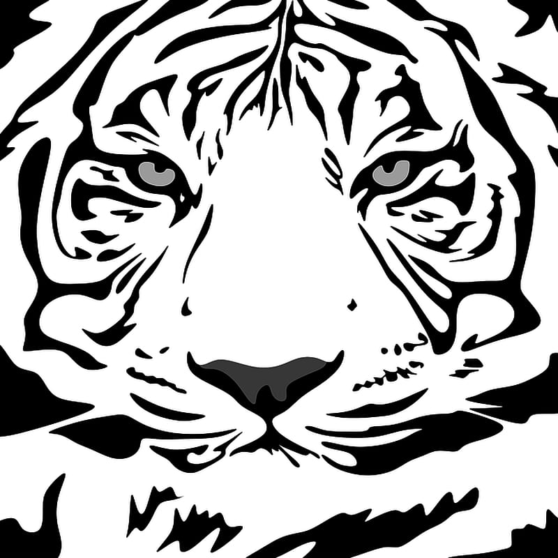 White Tiger, big cat, cat, tiger, white, wildlife, HD phone wallpaper