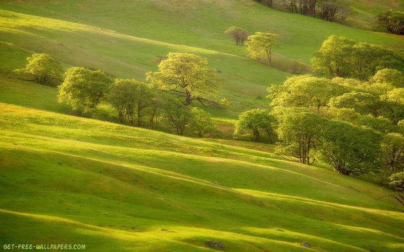 Hilly, hills, green, grass, nature, trees, landscape, HD wallpaper