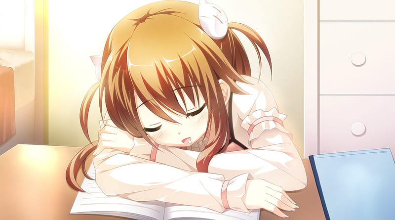 Can't study anymore ... So sleepy, sleep, book, sweet, nice, anime, hot, anime girl, long hair, table, female, lovely, brown hair, sexy, sleeping, cute, kawaii, girl, HD wallpaper