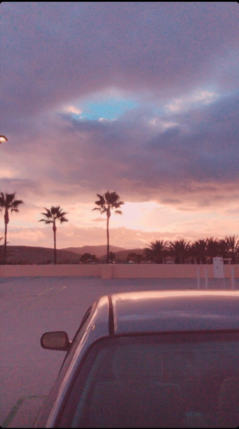 sunset aesthetic , car, carros, palm-tree, parking, peach, purple, HD phone wallpaper