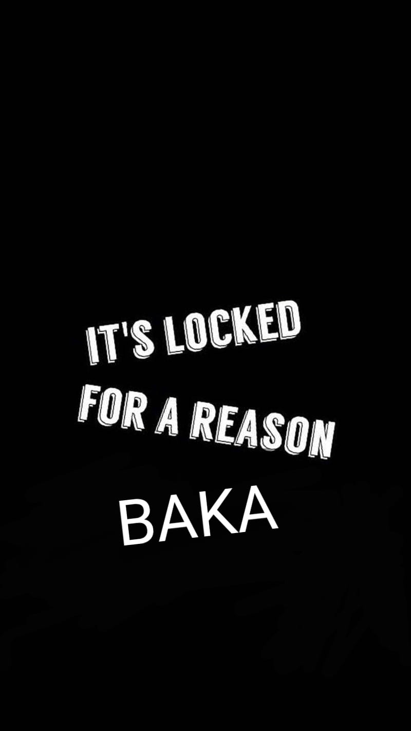 Baka baka on a dark background HD phone wallpaper  Peakpx
