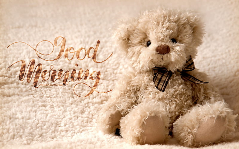 Good Morning, white teddy bear, white fabric background, artwork, Good Morning concepts, HD wallpaper