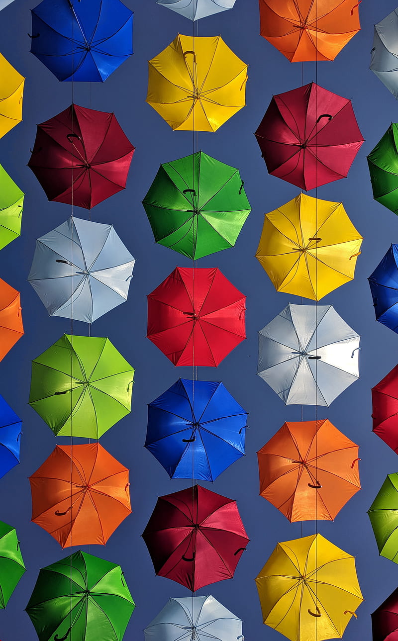 umbrellas, colorful, bright, bottom view, HD phone wallpaper