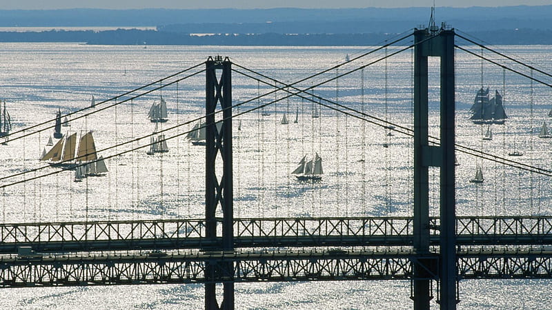 sailboat regatta by chesapeake bay bridges, bridges, shimmer, sunshine, bay, sailboats, HD wallpaper