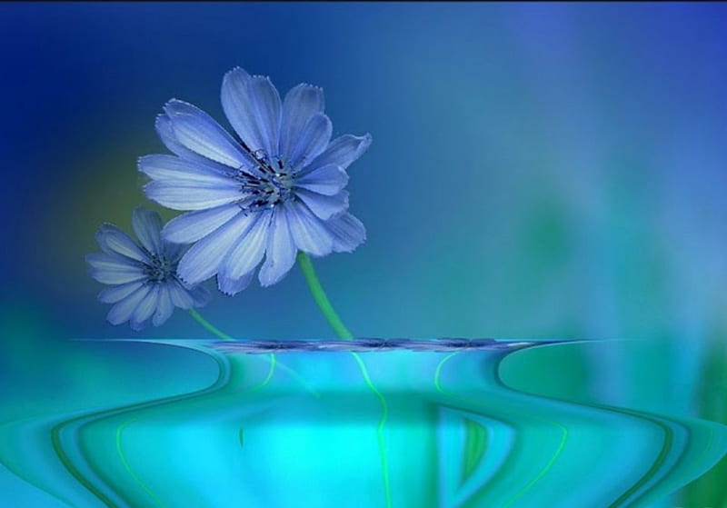 Blue fowers _b, blue flowers, fantasy, flowers and vase, flowers, vase