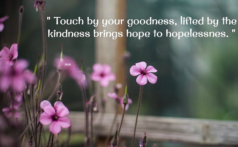 Goodness, Words, Thoughts, Flowers, Nature, Quotes, HD wallpaper