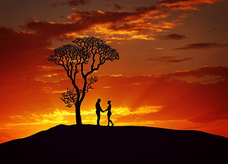 Love and Happiness, Love, Couple, Sunset, Silhouette, HD wallpaper
