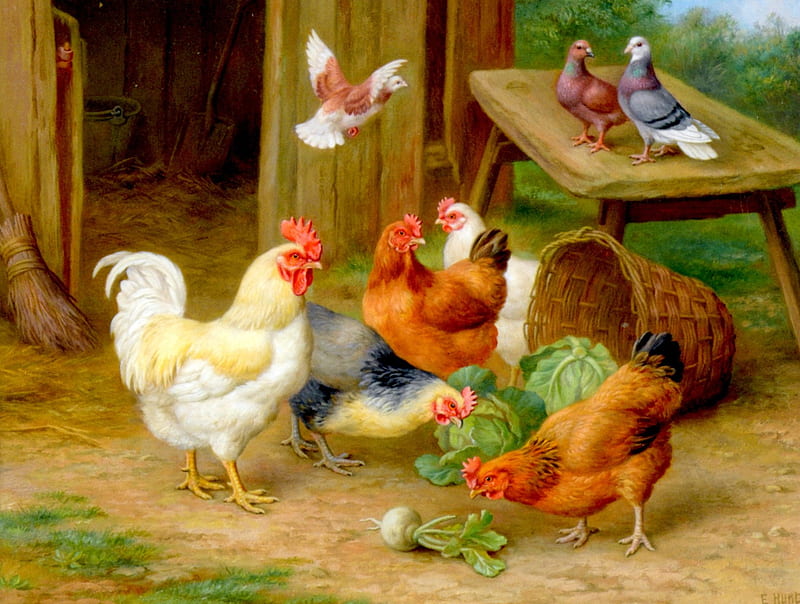 BACKYARD FRIENDS, chicken, painting, birds, cock, backyard, HD wallpaper