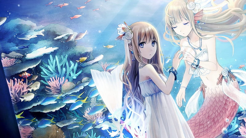 the girl and the mermaid, girl, fish, mermaid, white dress, coral reefs, HD wallpaper