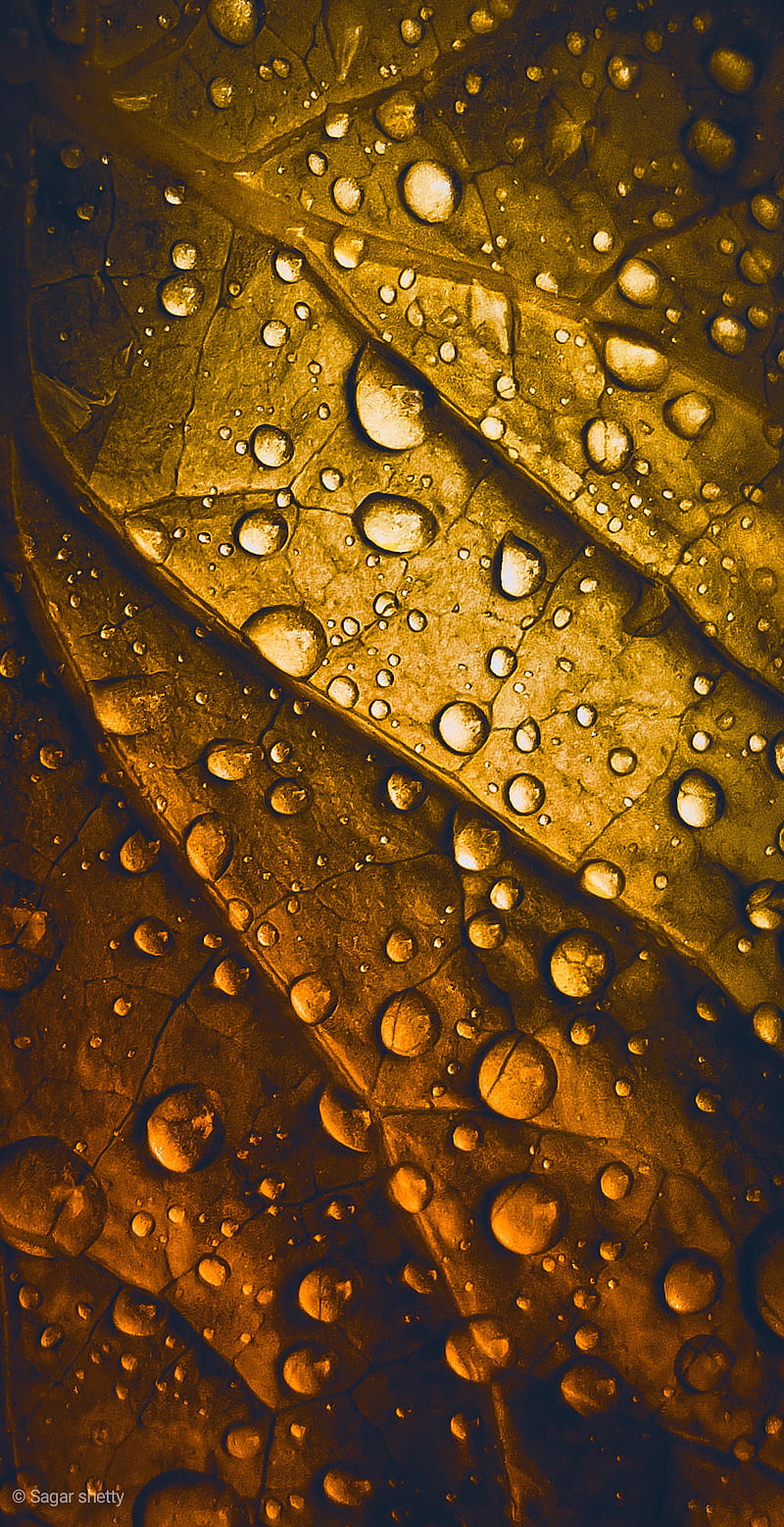 The autumn dew, dew drops, water drops, HD phone wallpaper | Peakpx