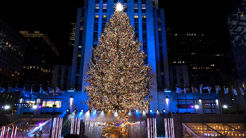 Learn the story behind the 2021 Rockefeller Center Christmas tree, Big Christmas Tree, HD wallpaper