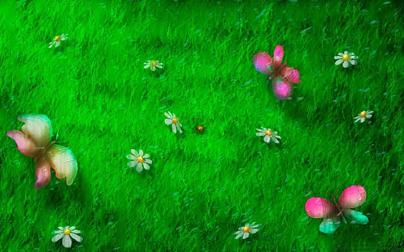BUTTERFLY PLAYGROUND, daisies, ladybirds, grass, flowers, butterflies, HD wallpaper