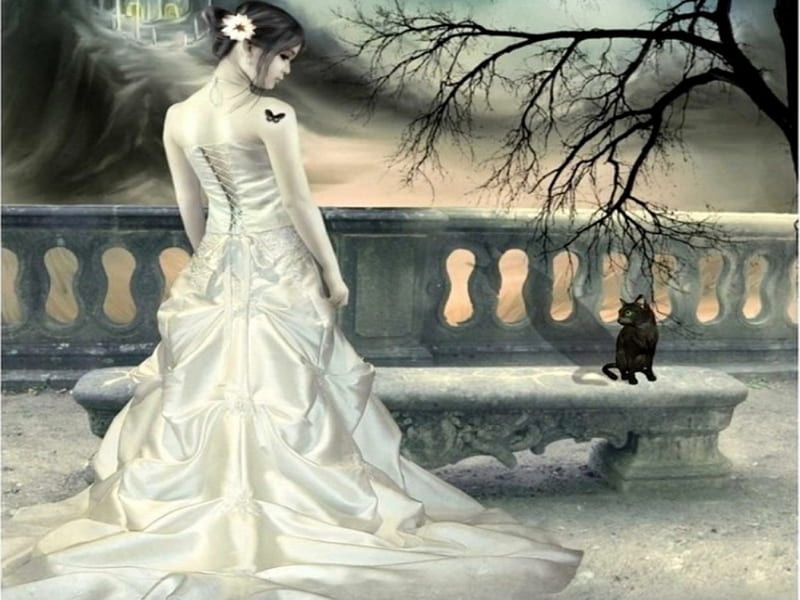 the wedding dress, fantasy, woman, abstract, black cat, HD wallpaper