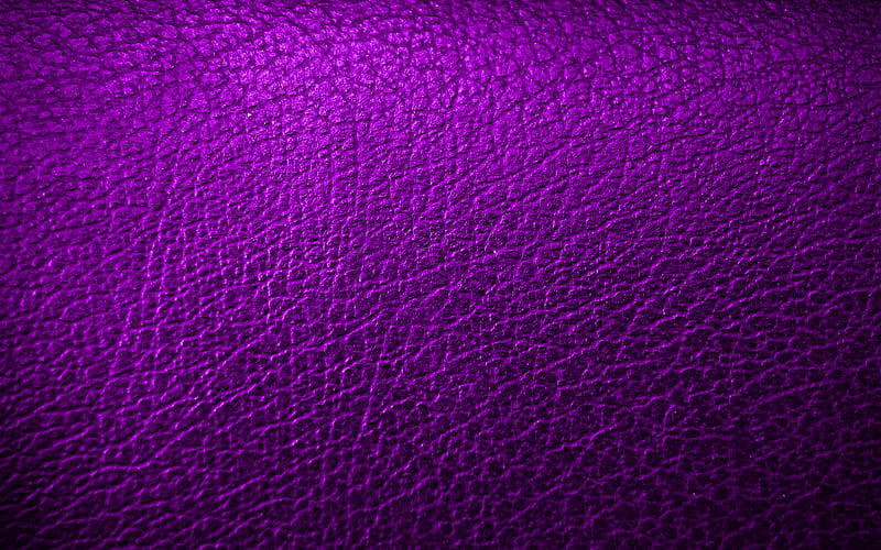 violet leather background leather patterns, leather textures, violet leather texture, violet backgrounds, leather backgrounds, macro, leather, HD wallpaper