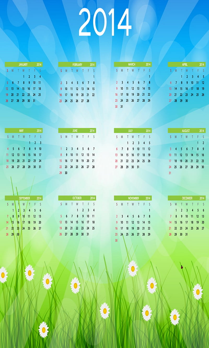 2014 Calender, flowers, year, HD phone wallpaper | Peakpx