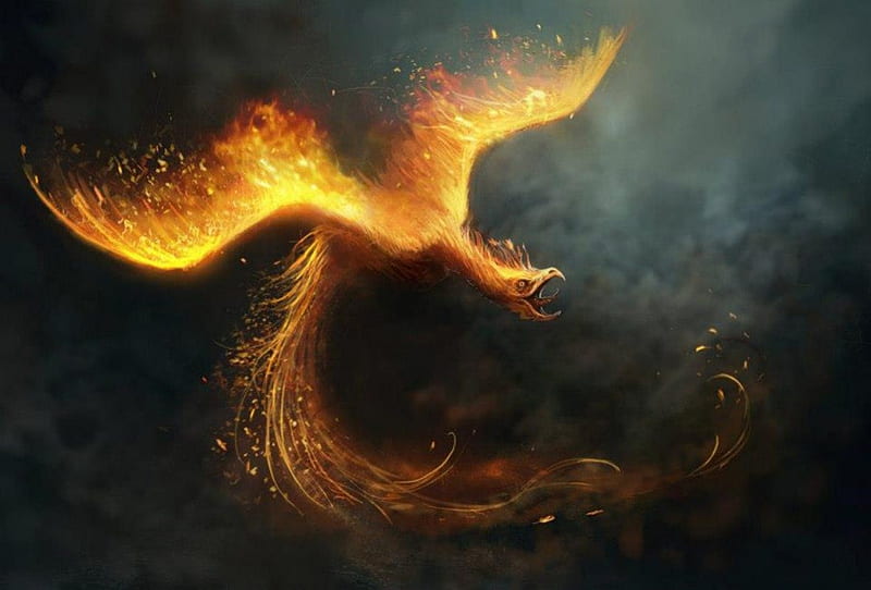 Rising Phoenix, burn, mistic, phoenix, abstract, fire, fantasy, flame, darkness, dark, HD wallpaper