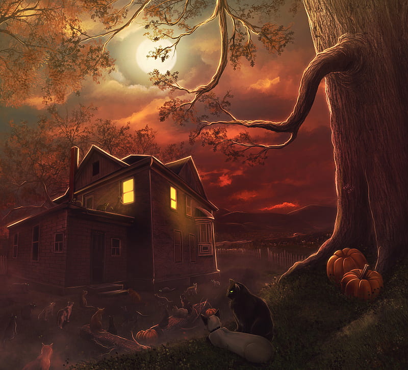 Cats of Ulthar, house, halloween, lights, tree, moon, pumpkin, scary, cats, night, HD wallpaper