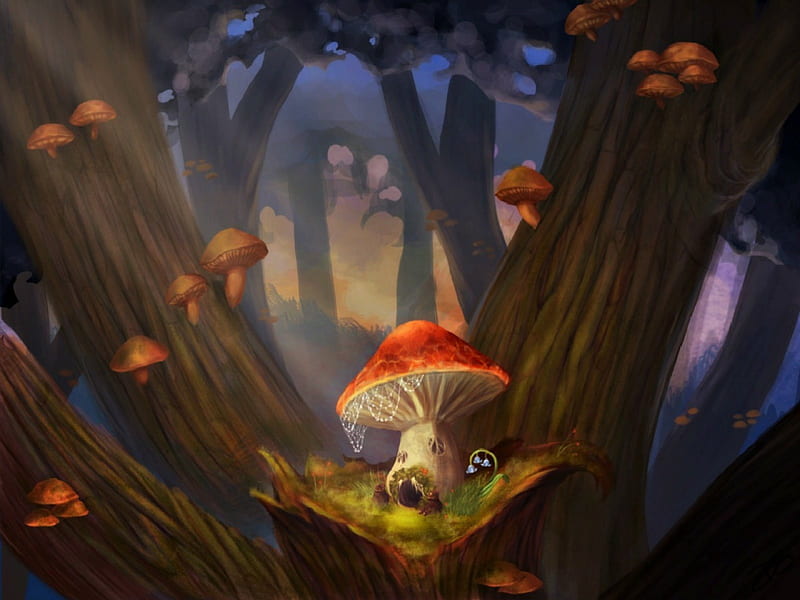 Mushrooms, red, forest, art, tree, fantasy, luminos, woods, mushroom, HD wallpaper