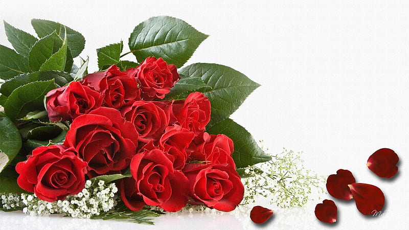 Red Roses and Babys Breath, valentines day, red, firefox persona, roses,  floral, HD wallpaper | Peakpx