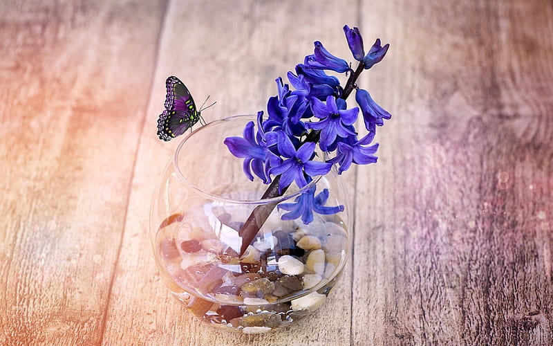 Hyacinth Flower Glass Butterfly, Hyacinth, Blue, Glass, Butterfly, Flower, HD wallpaper