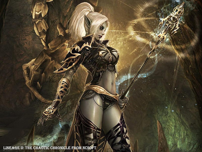 The Chaotic Chronicle, lineage 2, lineage ii, video game, lineage, HD wallpaper