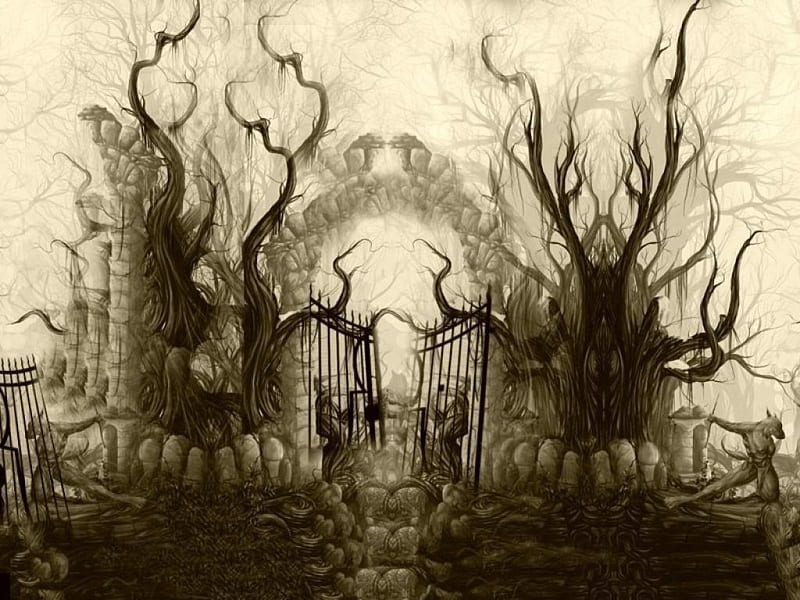 Gate, colorless, misty, trees, branches, HD wallpaper