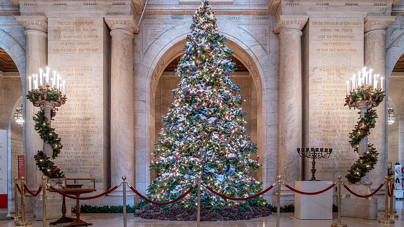 Spend the Holidays at the Library (On Your Video Calls At Least!). The New York Public Library, Christmas Library, HD wallpaper