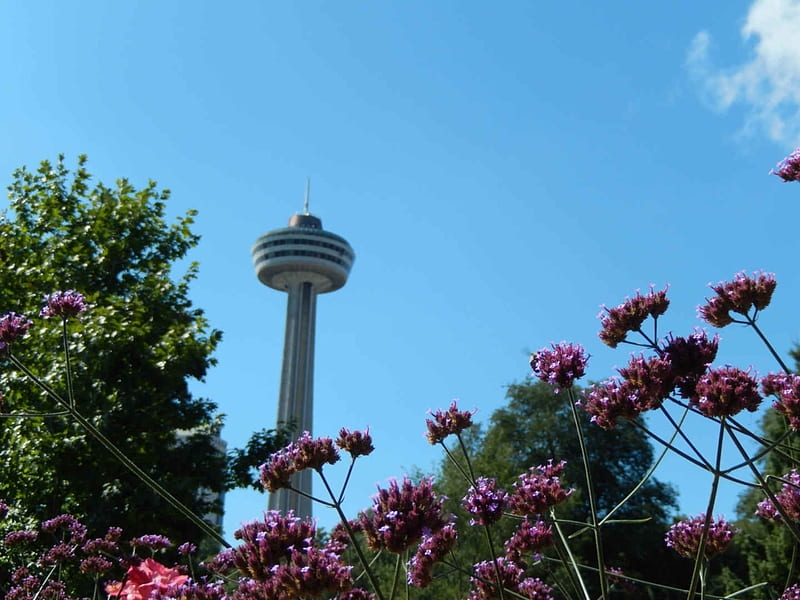 Skylon Tower Niagara Falls Ontario Canada, Purple, Tower, Branches, Revolving, Niagara Falls, Restaurant, Pink, Ontario, Trees, Green, Clouds, Canada, Needles, Flowers, Park, Skylon, bonito, HD wallpaper