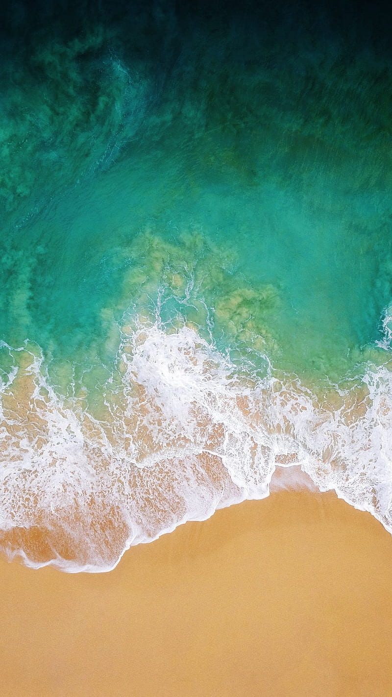 beach, sea, tropical, HD phone wallpaper