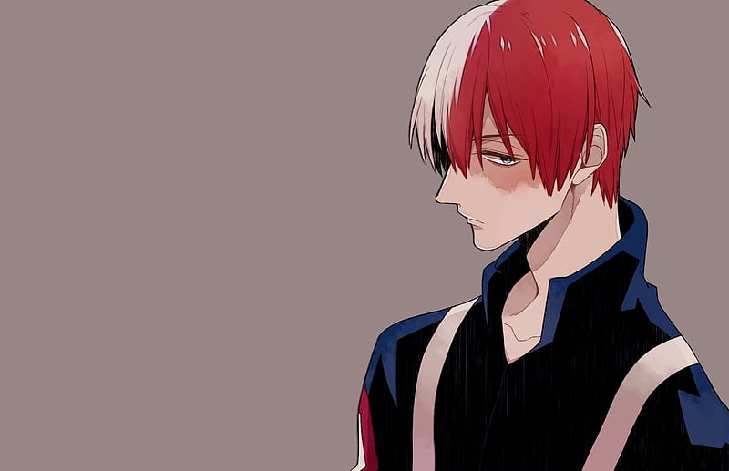 My hell Akademia, todoroki shouto, red and white hair, Anime, HD wallpaper