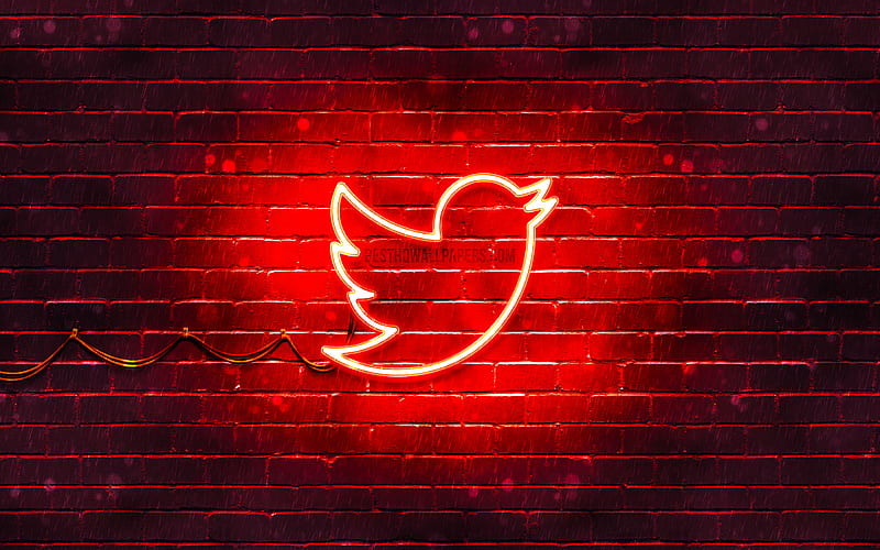 Twitter red logo red brickwall, Twitter logo, brands, Twitter neon logo, Twitter, HD wallpaper