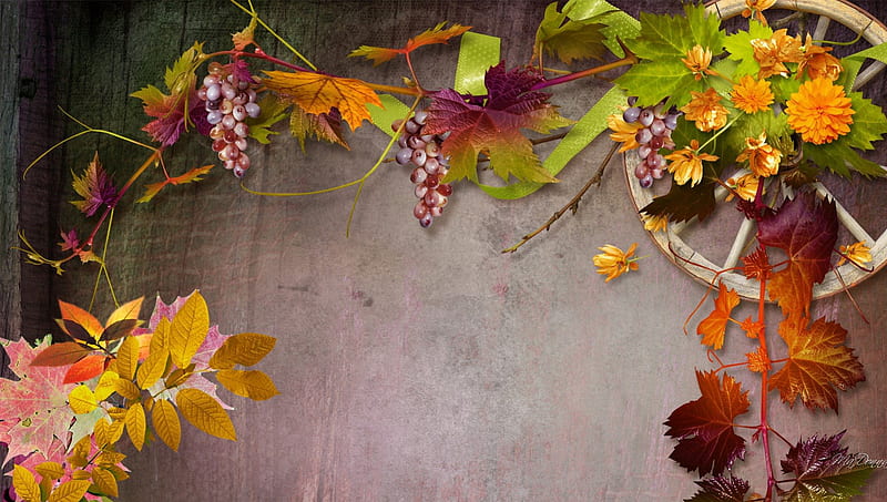 Country Fall, fall, grapes, wagon wheel, autumn, leaves, grape leaves, flowers, country, HD wallpaper