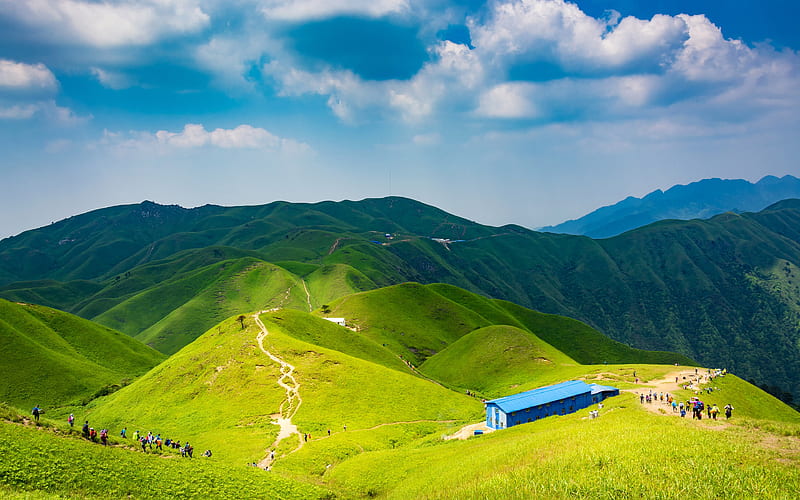 Wugong Mountain Alpine Meadow 2019 Nature Scenery, HD wallpaper
