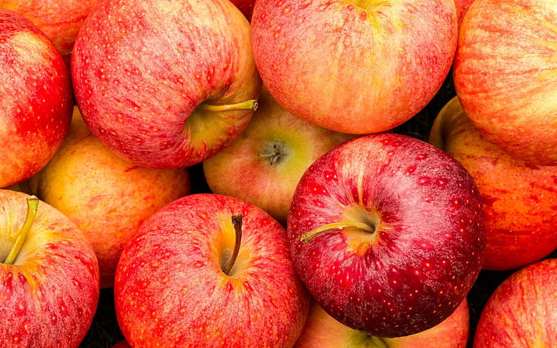 apples, fruits, ripe apples, apples background, fruit background, HD wallpaper