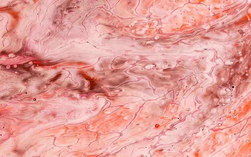 pink paint texture, blur texture, pink creative background, pink grunge texture, Stains Paint Texture, HD wallpaper