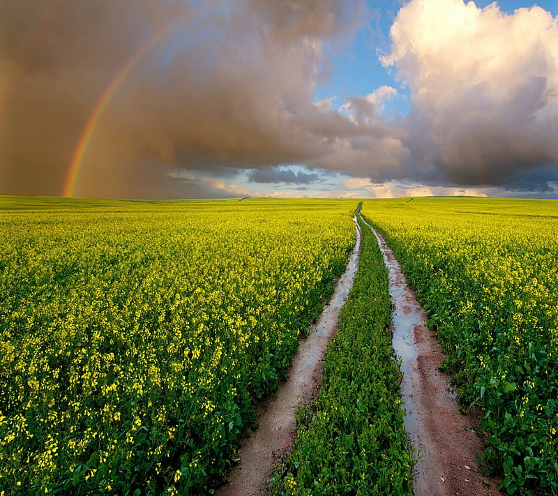 rainbow road, rainbow, sky, HD wallpaper rainbow road, rainbow, sky, HD wallpaper