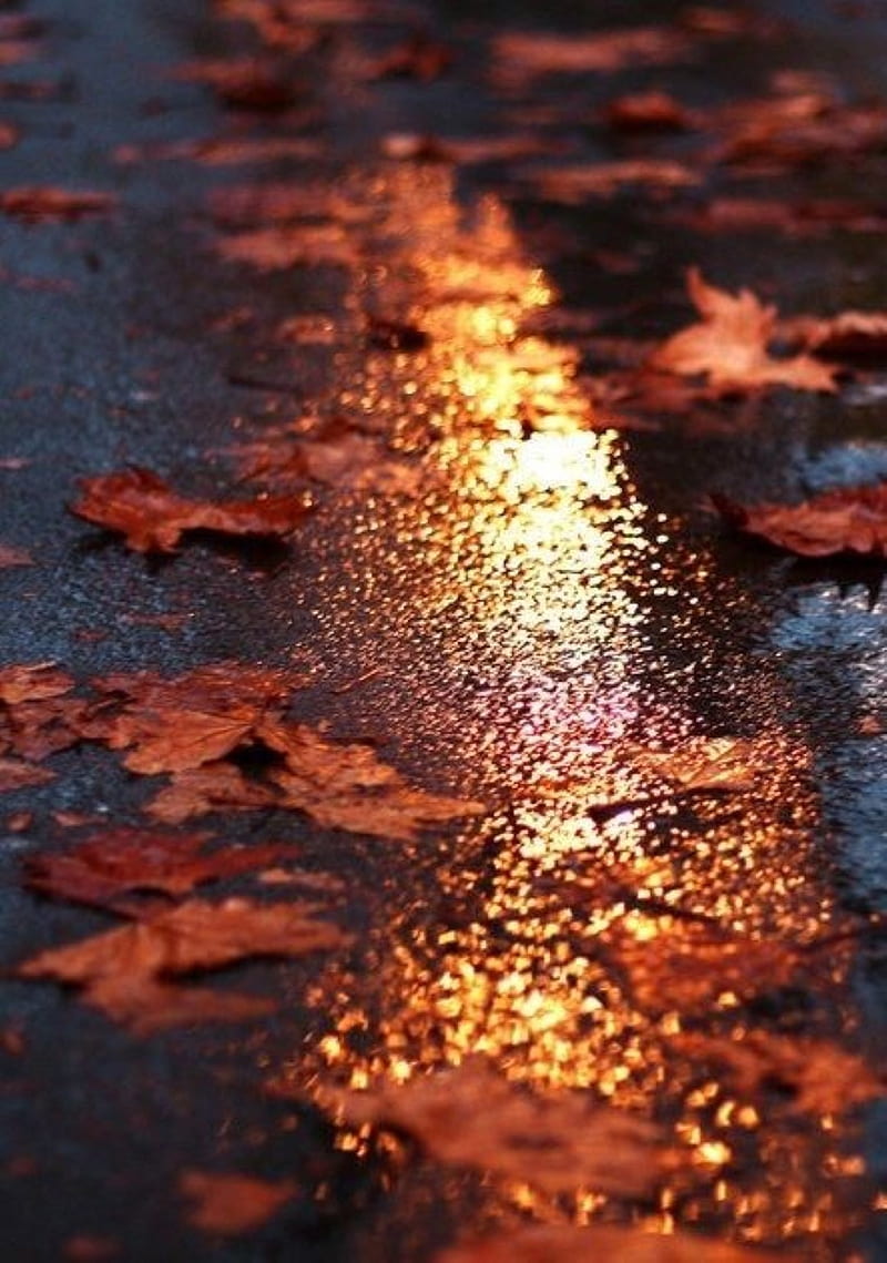 autumn, rain, dream, HD phone wallpaper