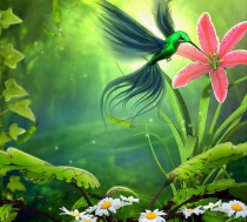 ✫Sucking Nectar✫, ivy leaves, softness beauty, bonito, hummingbird, digital art, green, manipulation, flowers, animals, sucking nectar, lovely, colors, creative pre-made, cute, plants, lily, backgrounds, nature, HD wallpaper