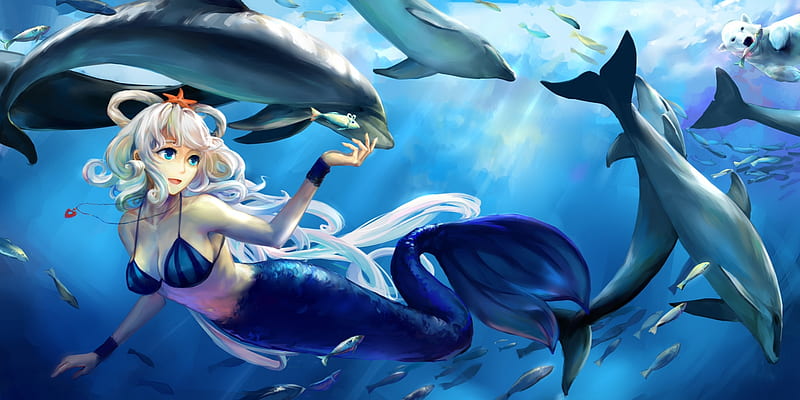 Dolphin, Free! - Zerochan Anime Image Board