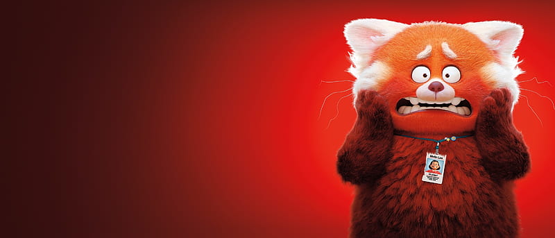 Download Red Panda In Turning Red Film Wallpaper  Wallpaperscom