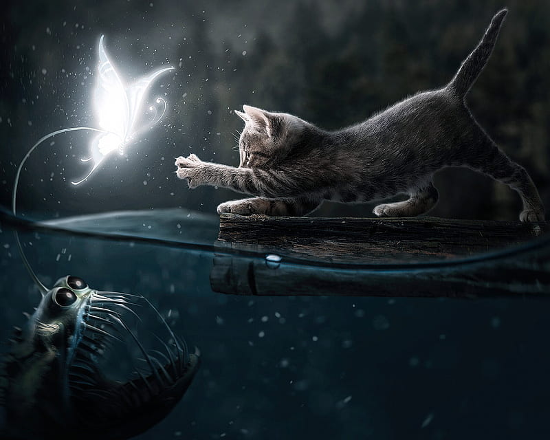 Fantasy Animals, Cat, Butterfly, Creature, Creepy, Water, HD wallpaper