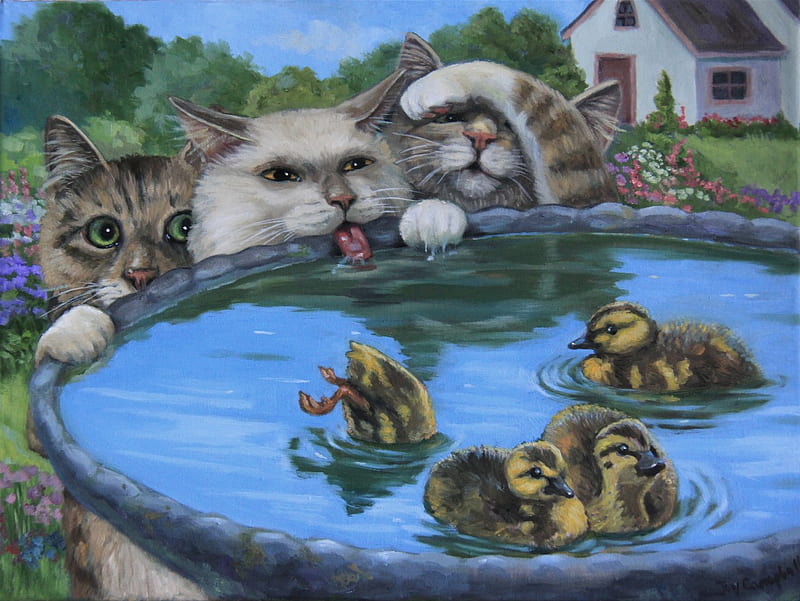 DUCK BATH, bath, duck, bird, cats, HD wallpaper