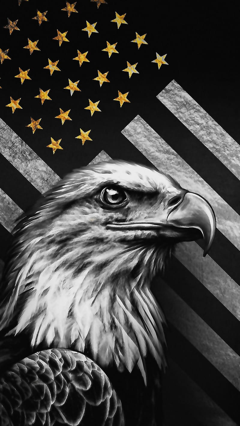 USA b and white bird black and white eagle flag gold stars usa flag  HD phone wallpaper  Peakpx