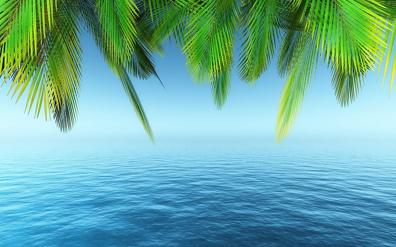 :-), sea, leaf, card, vara, water, green, texture, summer, palm tree, HD wallpaper
