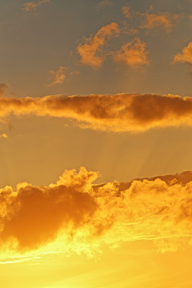 clouds, golden, sunset, sky, HD phone wallpaper