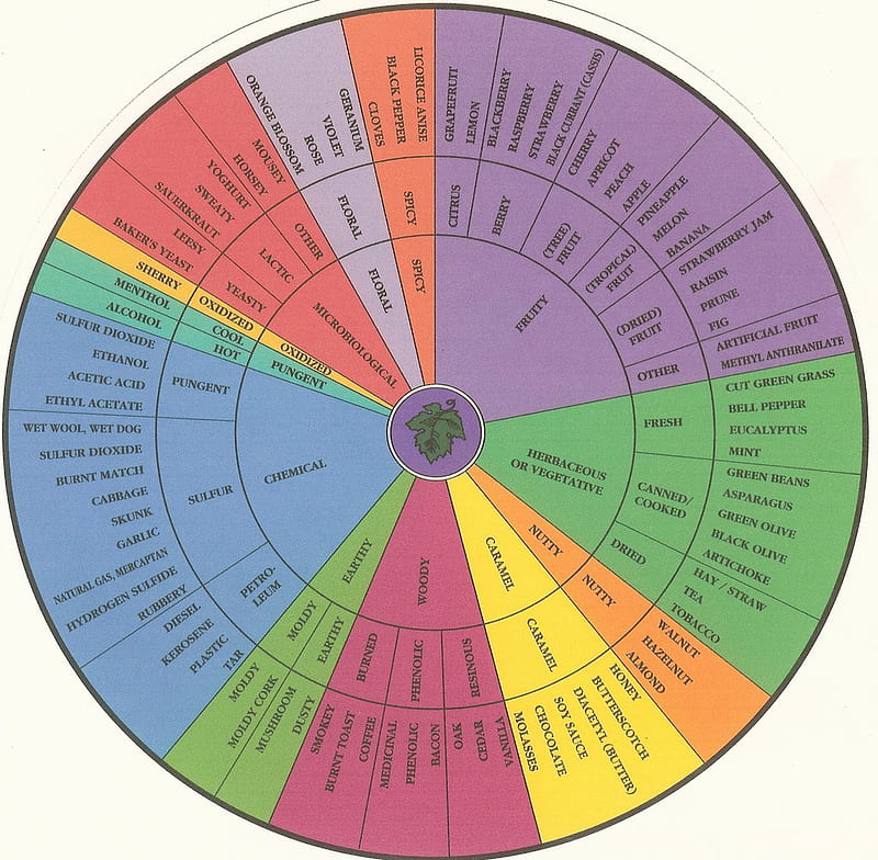 Wine Aroma Wheel, chart, wheel, aroma, wine, HD wallpaper