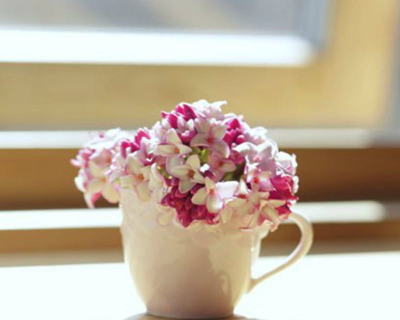 Cup of flowers, cup, flowers, petals, pink, HD wallpaper | Peakpx